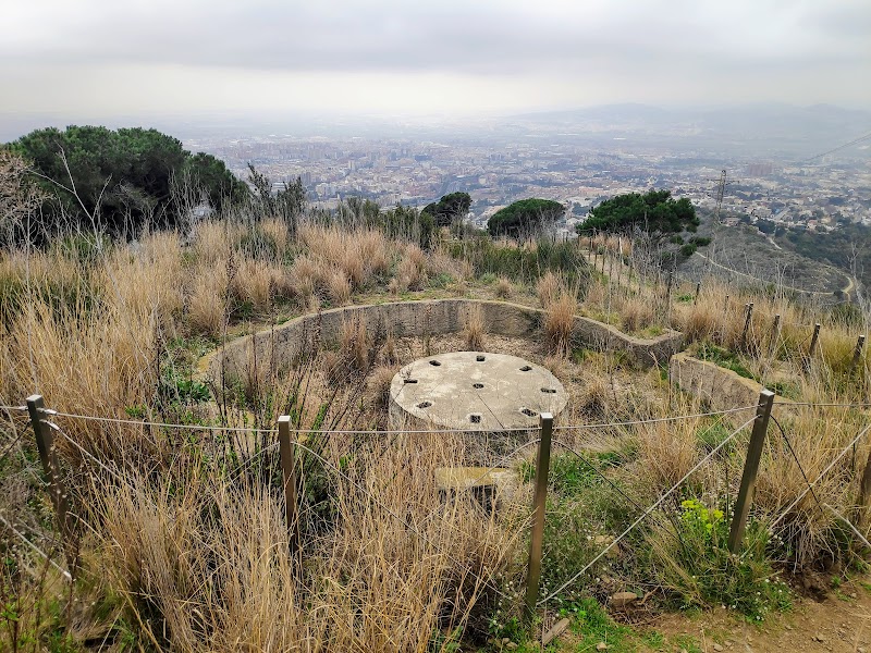 Sant Pere Màrtir
