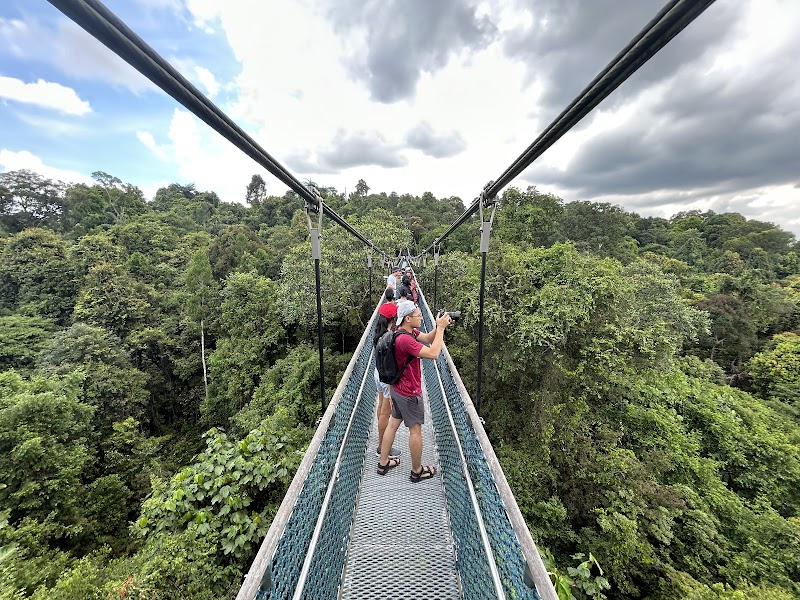 TreeTop Walk