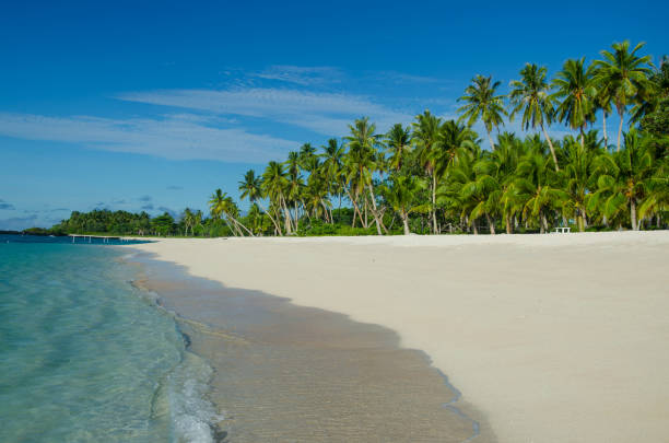 Beach In Fort Washington Park