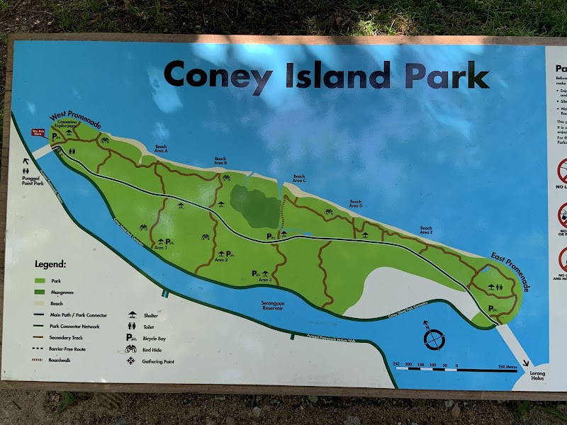 Coney Island
